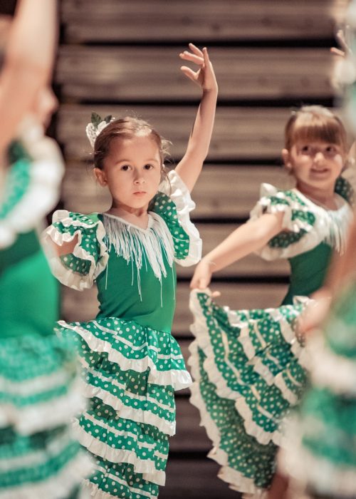 Gala de flamenco de fin d’année 2019